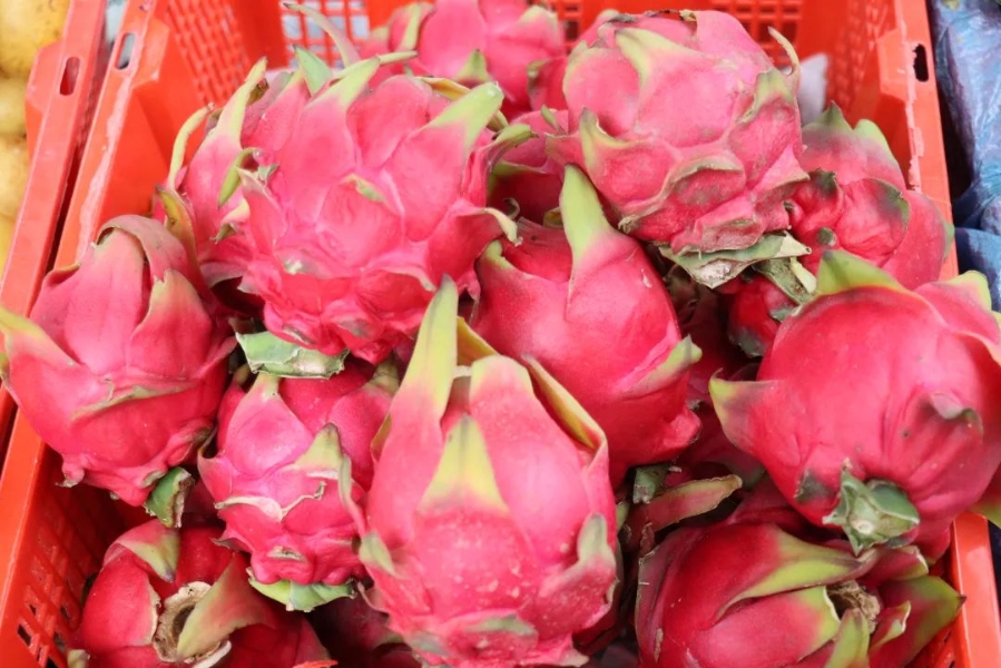 ccf995b4-2c53-48b4-b926-cab394378ddb ccf995b4-2c53-48b4-b926-cab394378ddb