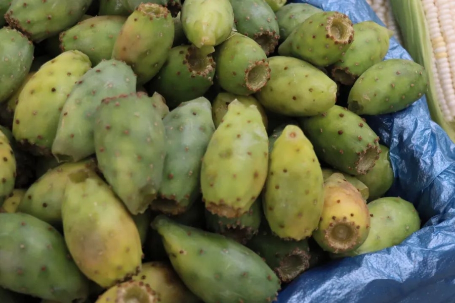 728a170a-a139-4d85-a8b4-6831bda1a94f 728a170a-a139-4d85-a8b4-6831bda1a94f