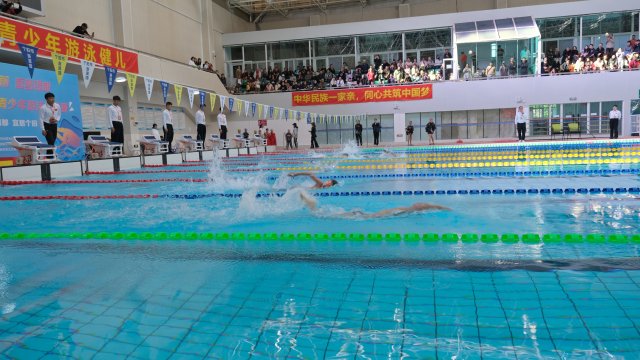 青少年游泳赛.JPG