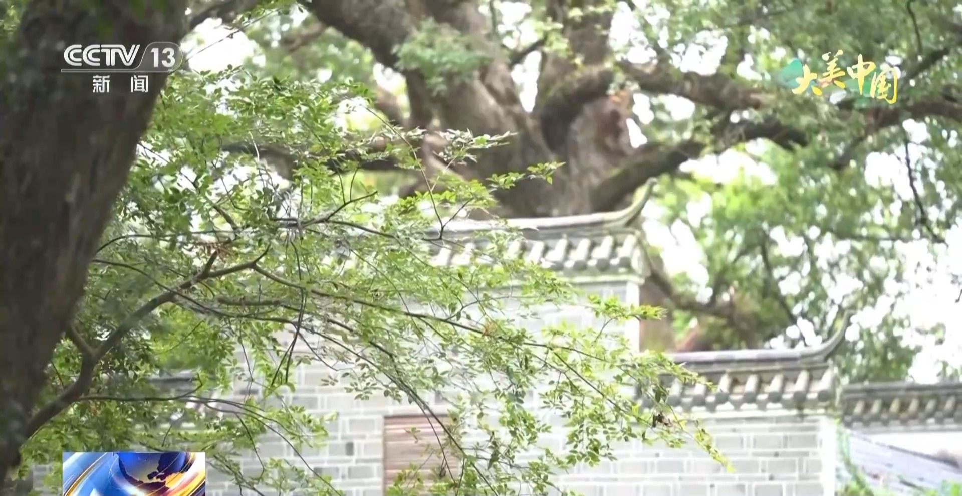 各地生态旅游引热潮 沉浸式感受自然之美