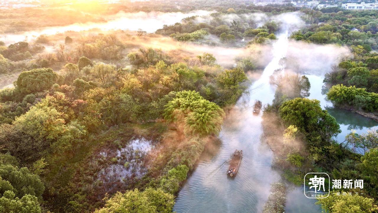 杭州西溪湿地公园。记者 梁臻 摄.jpg