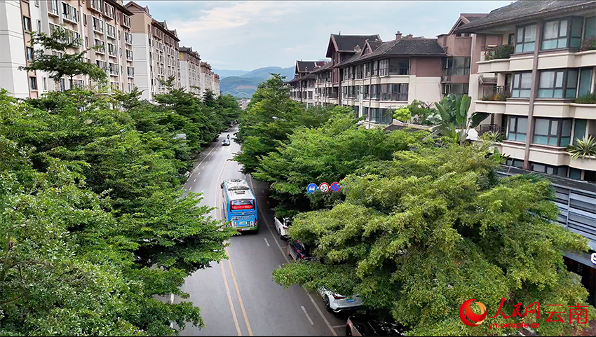 万景社区是成立于2020年的“年轻”社区。图为万景社区一隅。杨林凯-摄