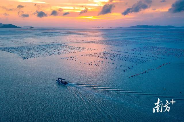 广东汕头市南澳岛，日落晚霞照耀下的彩虹海。南方+拍客 唐志光 摄
