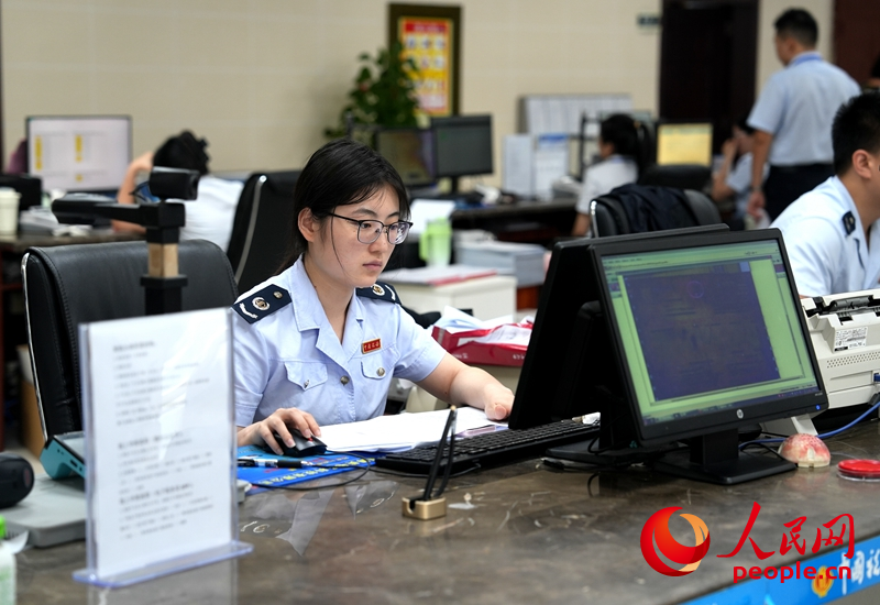 洋浦政务大厅税务服务窗口。人民网记者 符武平摄