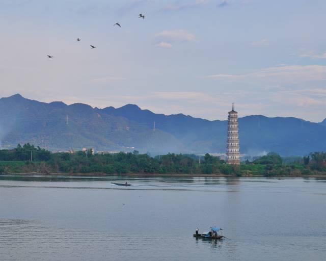广东清远英德市北江段，渔舟、飞鸟、古塔与山水构成一幅优美的风光画卷。南方拍客 徐慧敏 摄