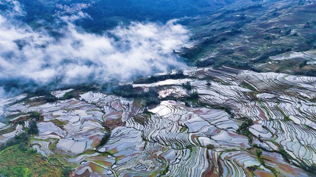 2025.3.23箐口梯田航拍 张艳摄.jpg