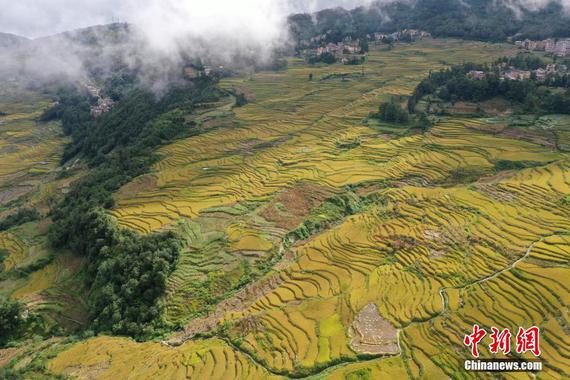 The Yuanyang Hani Terraces in Yunnan Province. (File photo/China News Service)