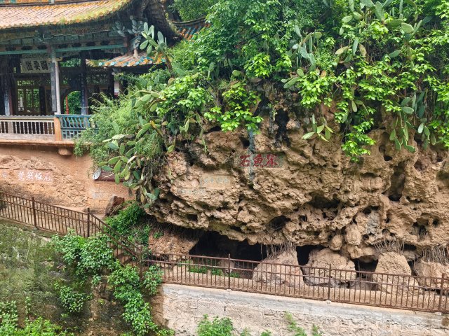 界鱼石公园 (1).jpg