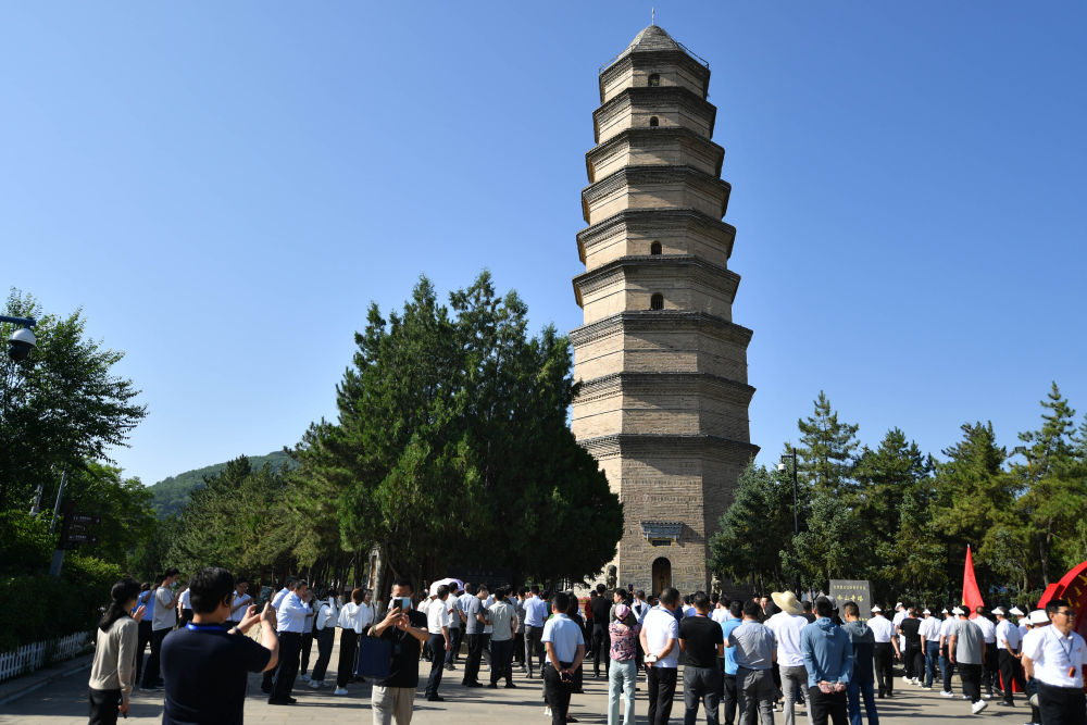 629b93b69280440d9722ffa15649e5ce