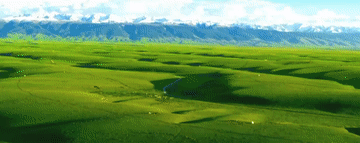 微视频丨天山南北新画卷