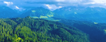 微视频丨天山南北新画卷