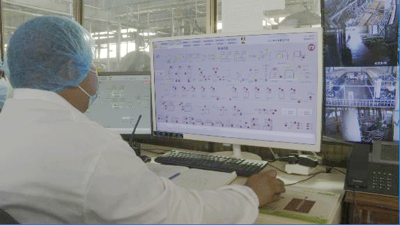 共筑金色梦想丨中国技术为刚果（布）开“粮”方：“这是最优质的木薯粉”