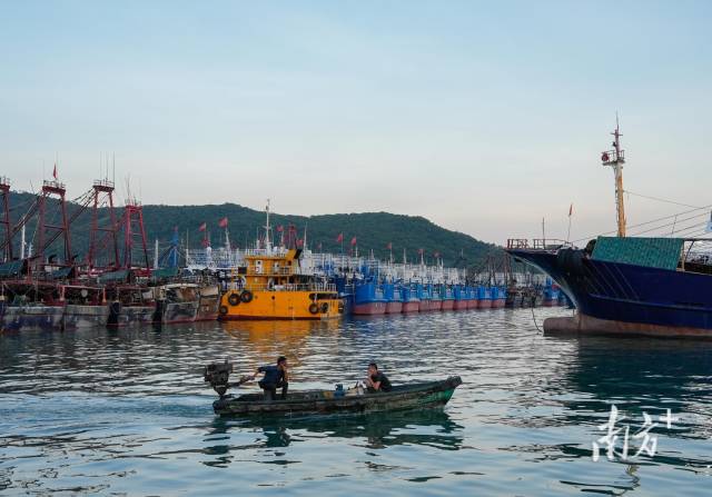 阳江海陵岛闸坡渔港，渔船回港避风。南方+记者 董天健 郑新洽 摄
