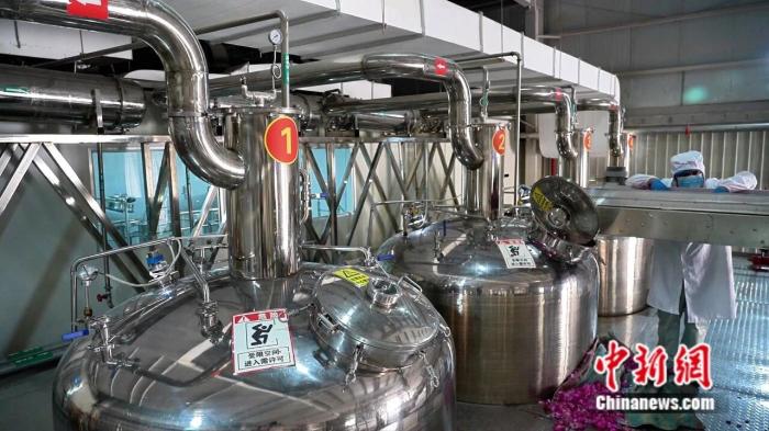 一花一世界,这座沙漠边缘的城市做足“花”样文章