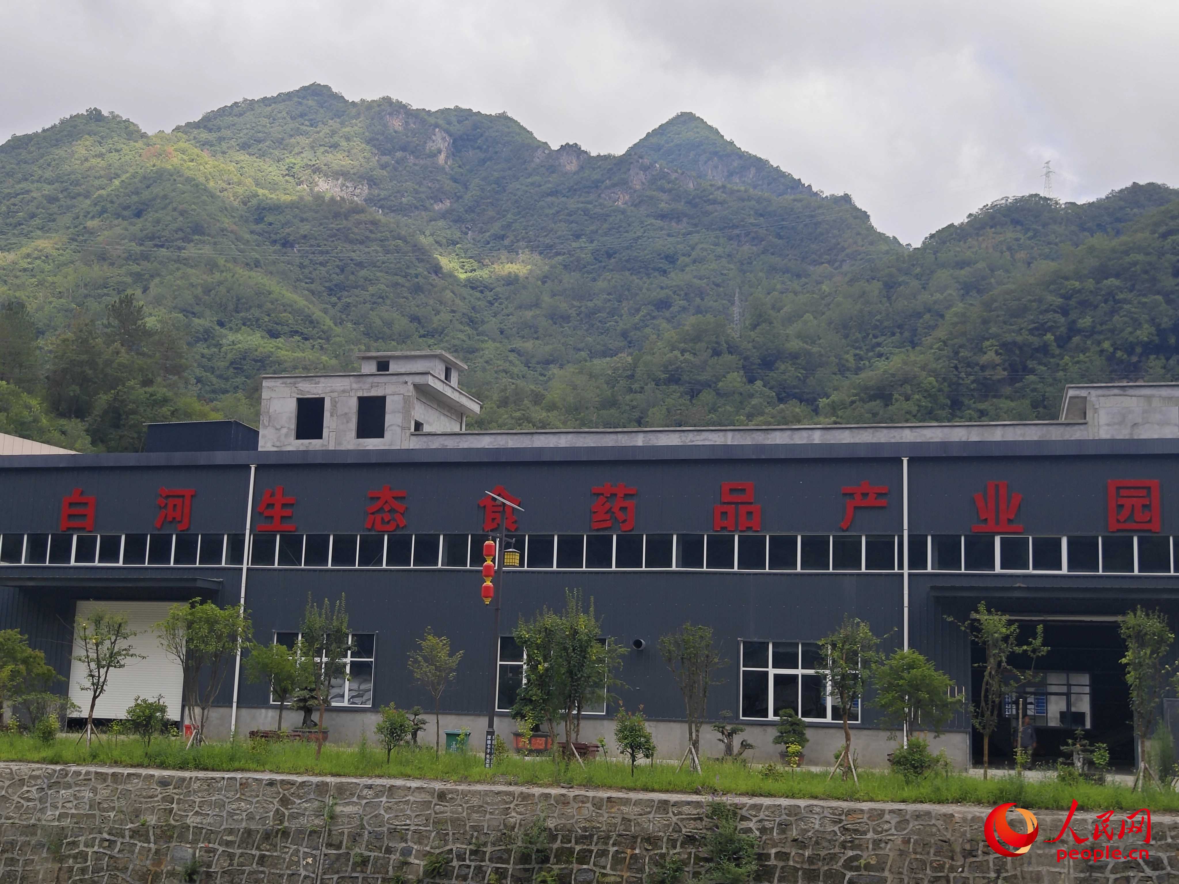 卡子镇新建的社区工厂。人民网记者 黄钰摄