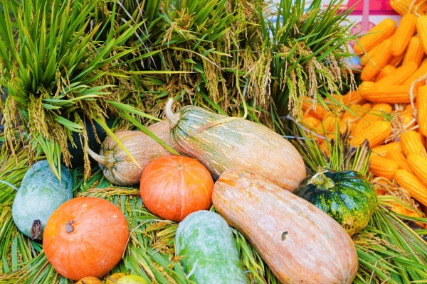 DSC03915-opq3993403426