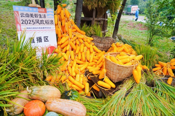 DSC03916-opq3993383570