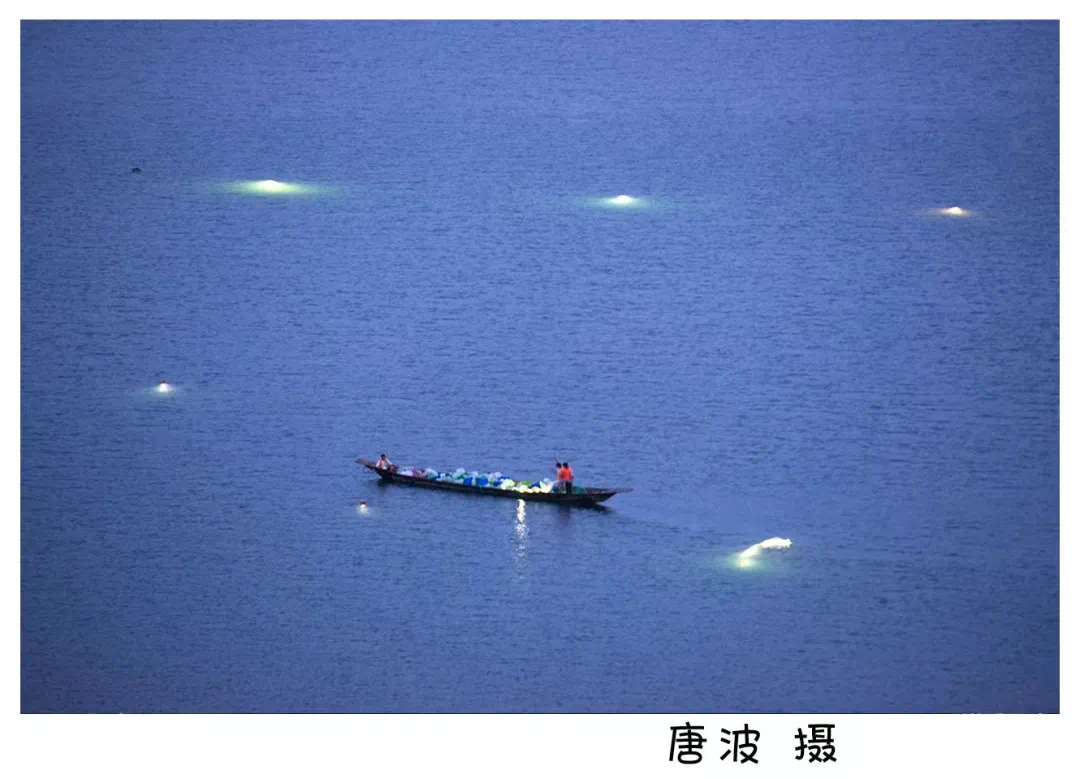 程海保护丨苍穹下·夜程海_昆明信息港