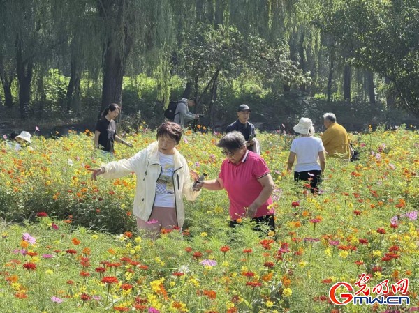 何以中国·理想都城|数字化技术再现圆明园昔日辉煌盛景 何以中国·理想都城|数字化技术再现圆明园昔日辉煌盛景