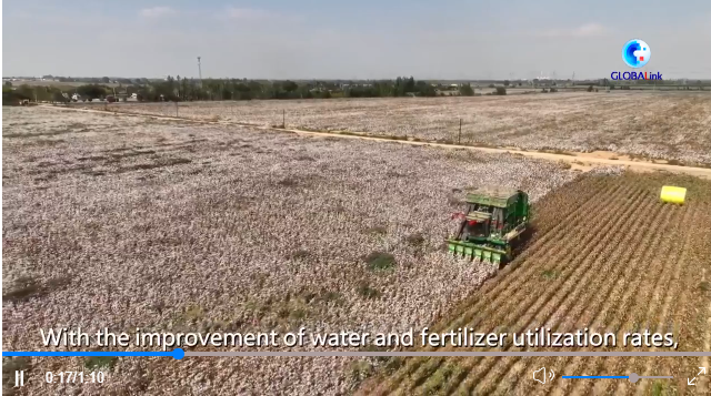 360截图20251005155433 360截图20251005155433