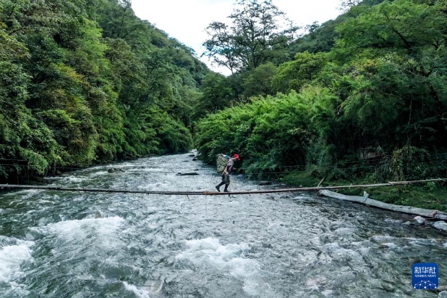 2025100813f8be485cc94fe5af9f95ca3274deab_20251008ce122049d2264e72b017fadaa8296e8c