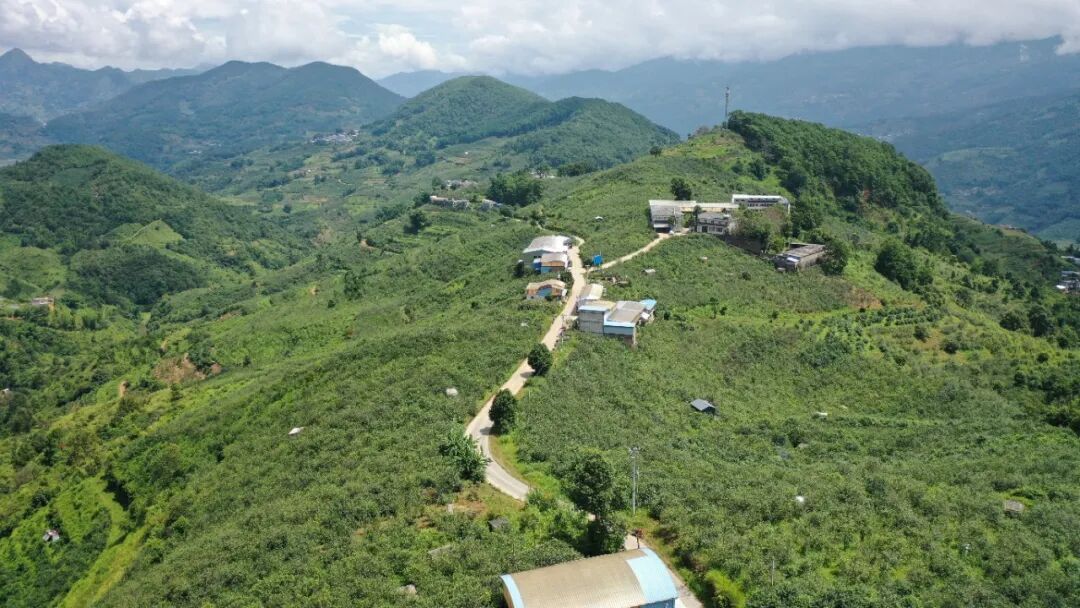 1760060994689193.jpg 21.jpg