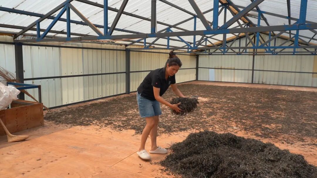 1760061018469471.jpg 23.jpg