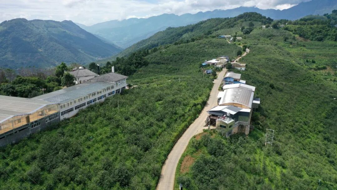 1760061051448974.jpg 26.jpg