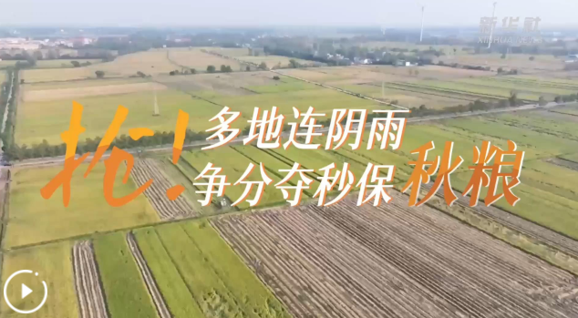 wechat_2025-10-12_124000_976 wechat_2025-10-12_124000_976