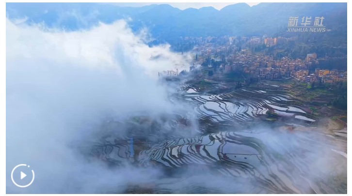 屏幕截图 2025-10-28 111430