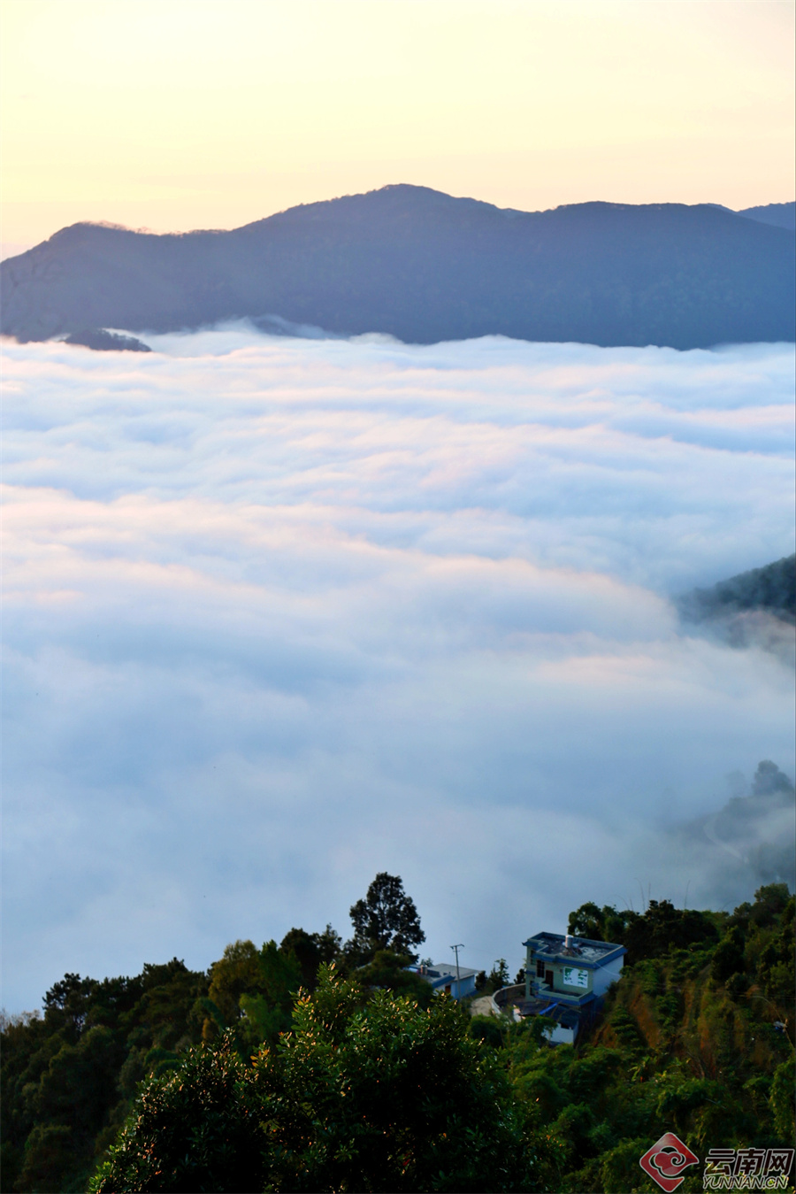 00307471680_31d30b3f 00307471680_31d30b3f