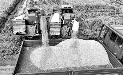 科技赋能，守护大国粮仓