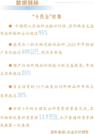 从粒粒良种,到仓廪充盈