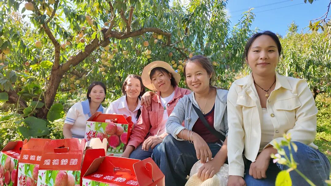 1762222003213589.jpg 25.jpg