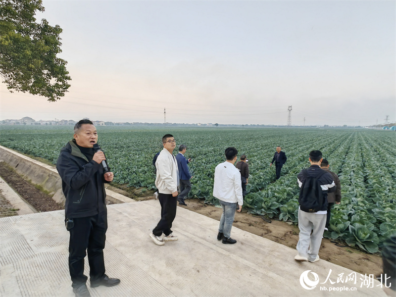 潘家湾镇农技服务中心技术人员刘朝辉介绍情况。人民网记者 郭婷婷摄