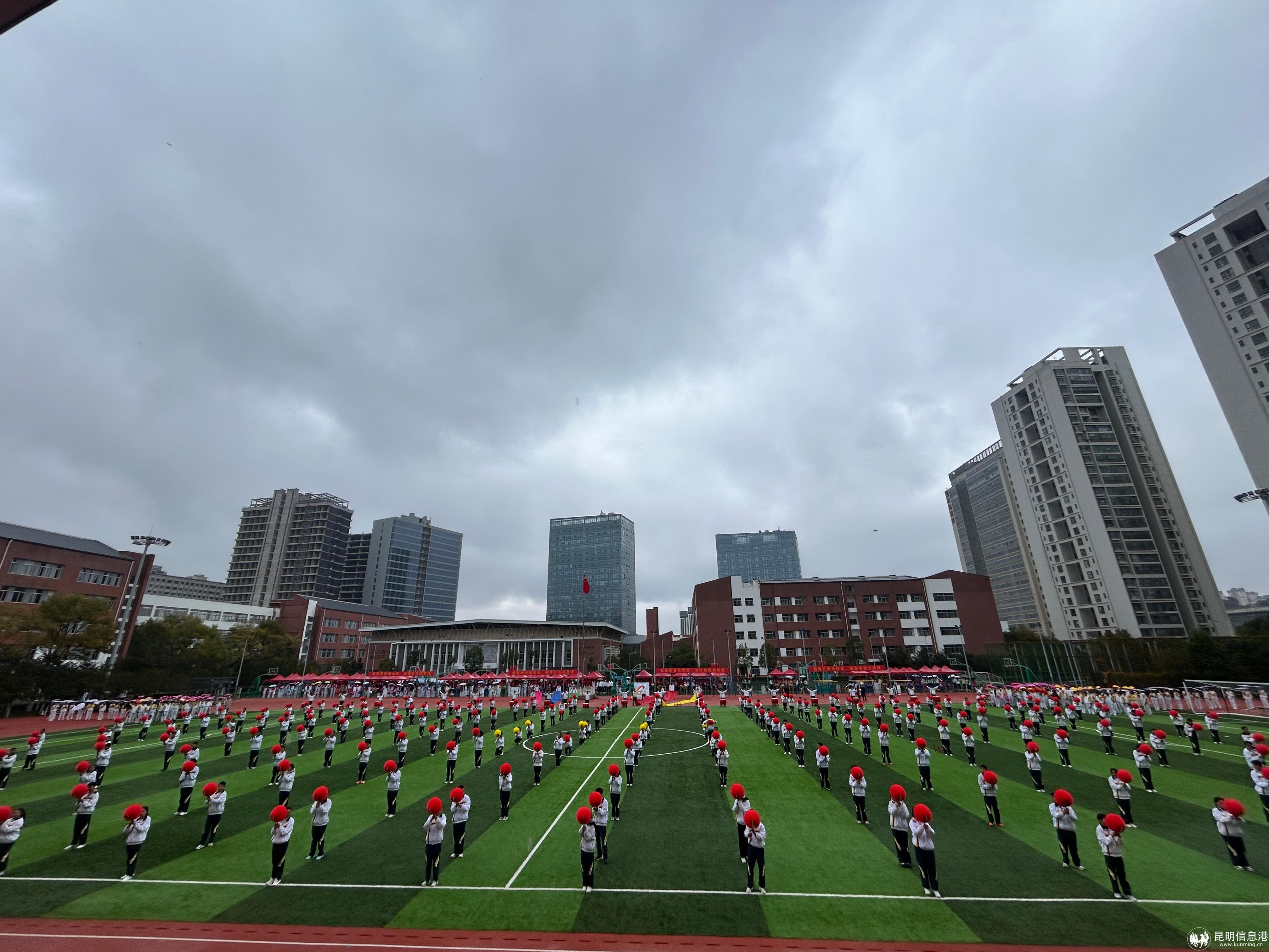 1561763534480_.pic_hd