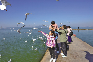 47091764089091634 47091764089091634