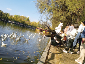 87051764089096226 87051764089096226