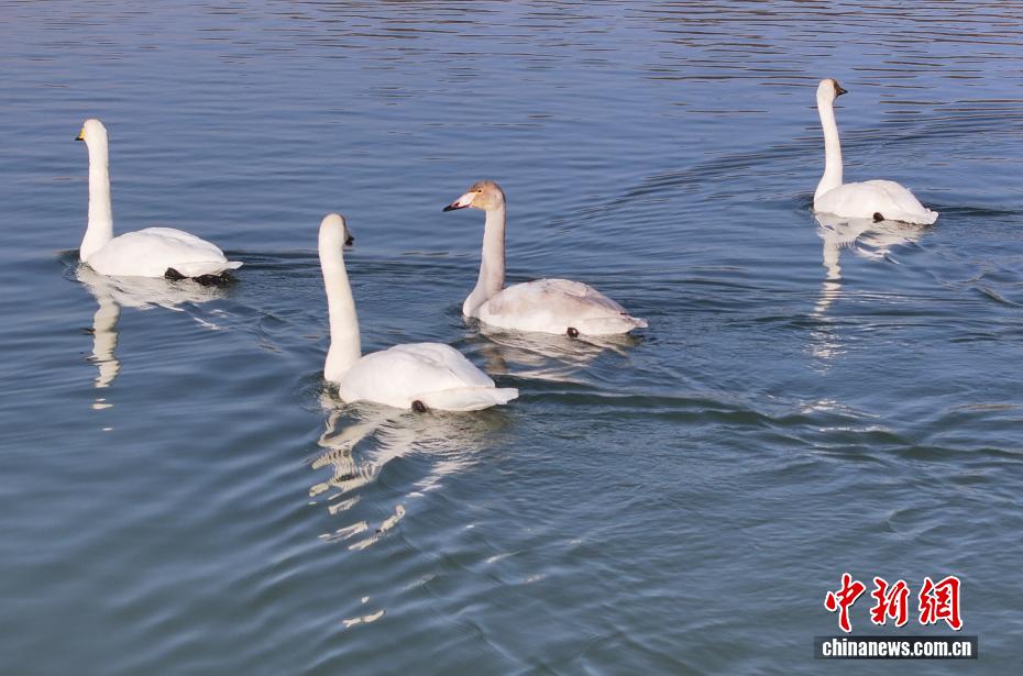 wc930x592_14eccd194c6e46b9a007f190224b2a25