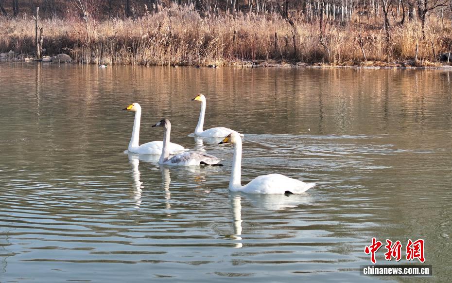 wc930x592_346fff4d7c0e493ab8c1895bdb80f1b0