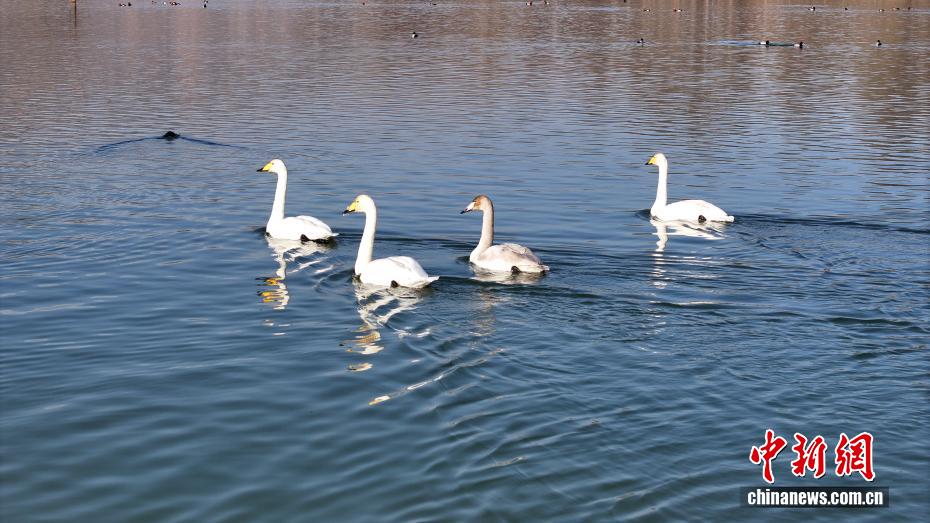 wc930x592_7738a6e4cef84c0aa560906c97a0ef8e