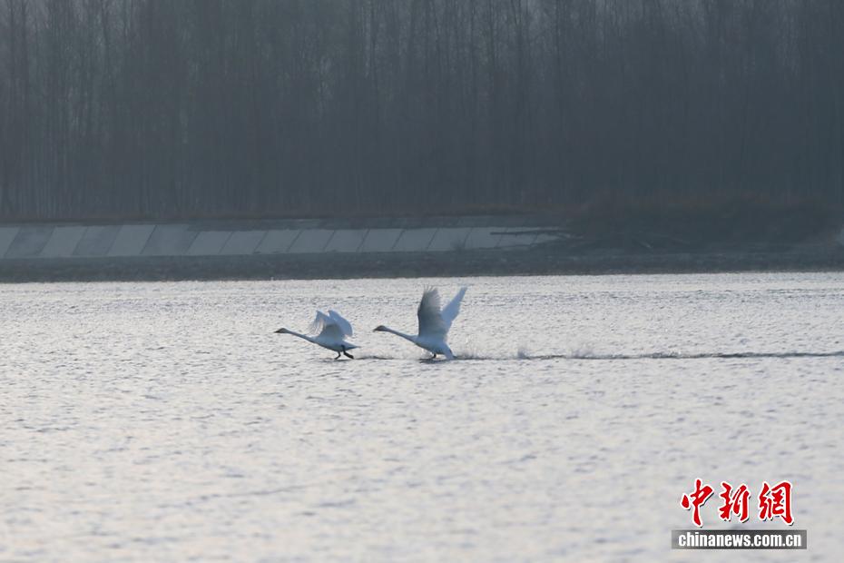 wc930x592_8648f693100d4dd8888855dd2587bfb7