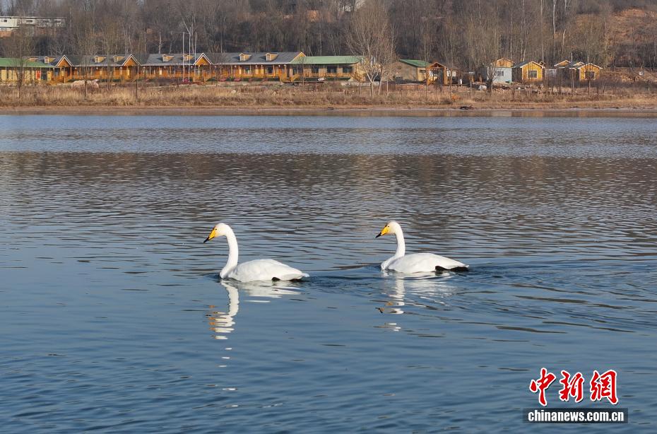 wc930x592_c723d50772a441c8b3664f18f91d437c