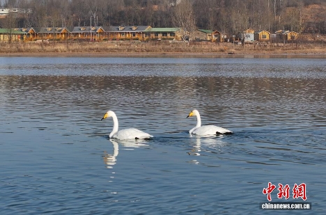 wc930x592_c723d50772a441c8b3664f18f91d437c