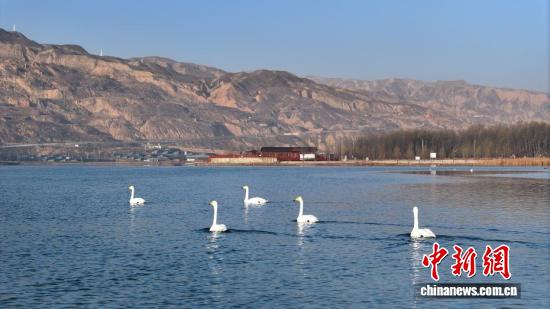 wc200x133_044f770cde734f6688effc8fb98bdf36