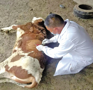 79521764254992315 79521764254992315