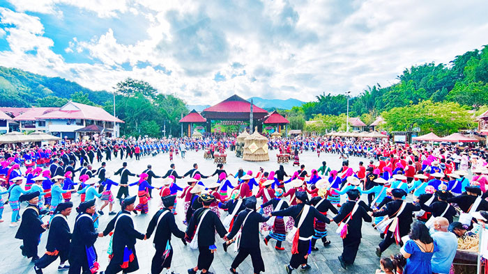 1764555288236315.jpg 1764549327703503.jpg