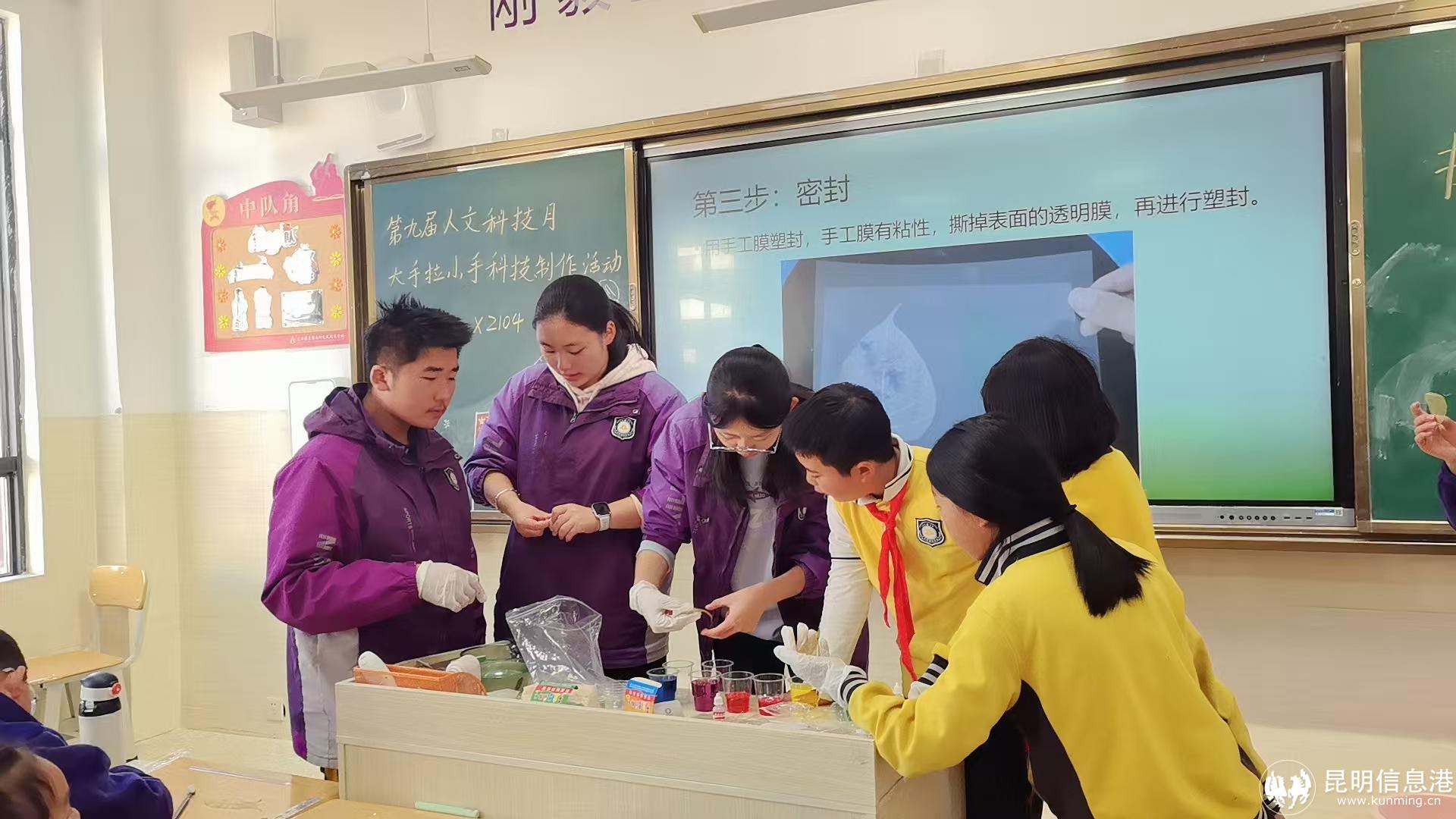 五年级1 五年级1