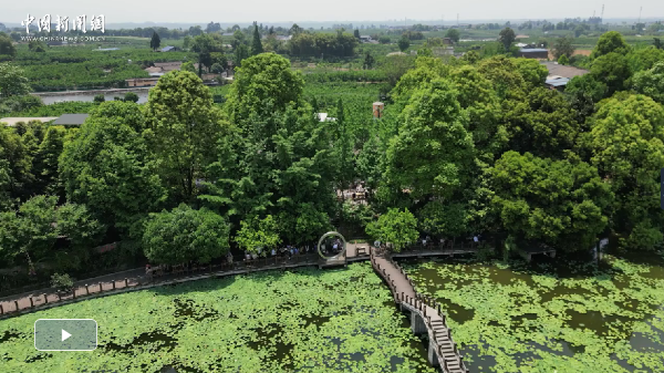 ScreenShot_2025-12-02_205141_158