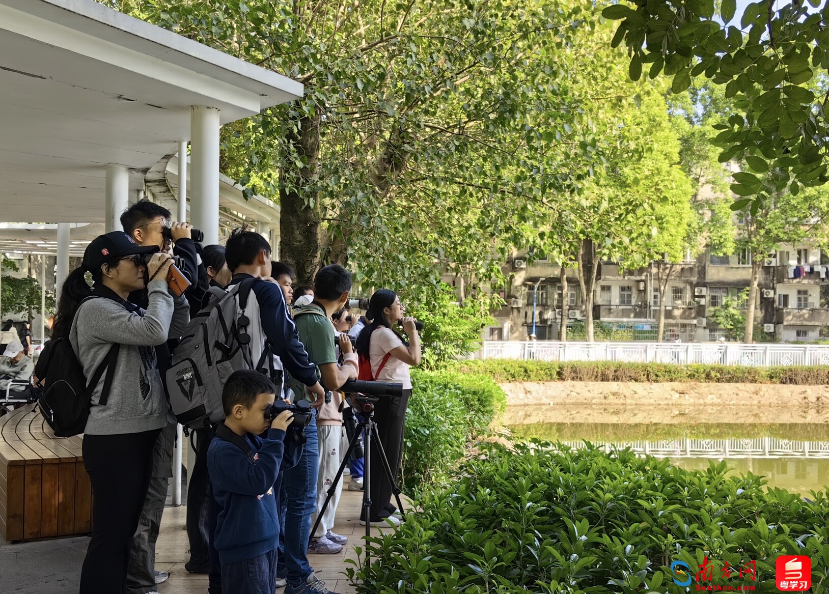 江涛组织的观鸟公益导览。